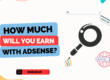 How much will you earn with AdSense